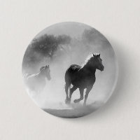 Chevaux de course noir et blanc Photo Artwork