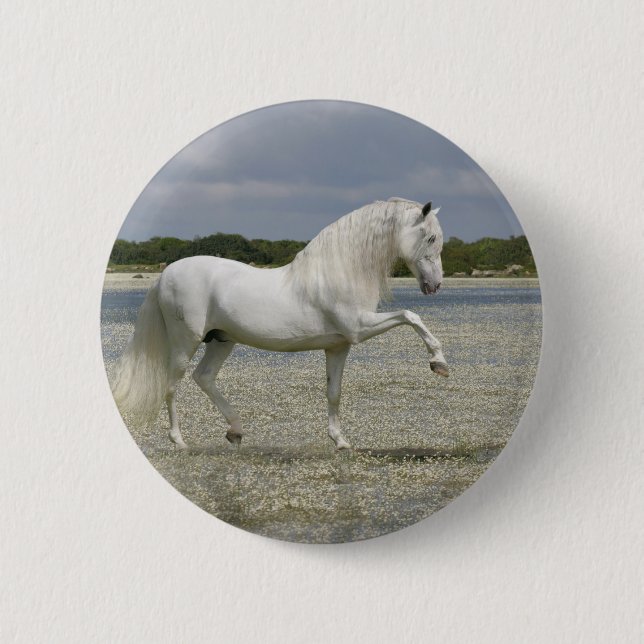 Macaron Rond 5 Cm Chevaux d'imaginaire : Seigneur du lac (Devant)