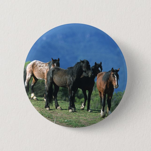 Macaron Rond 5 Cm Chevaux Mustang sauvages dans les montagnes (Devant)