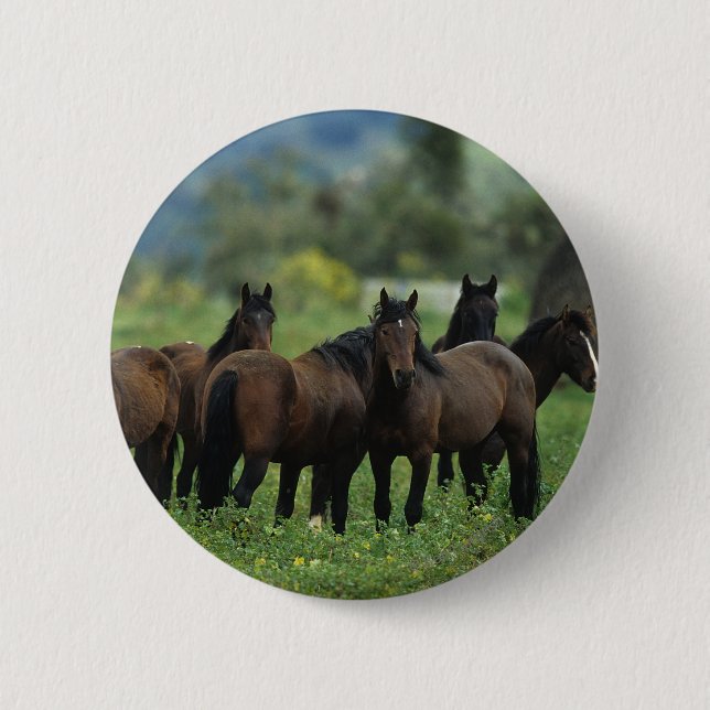 Macaron Rond 5 Cm Chevaux sauvages 3 de mustang (Devant)