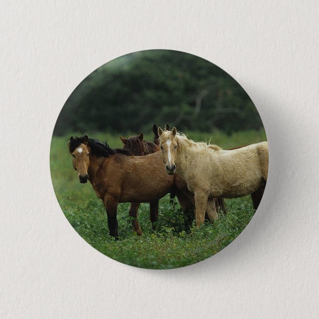 Macaron Rond 5 Cm Chevaux sauvages 4 de mustang (Devant)