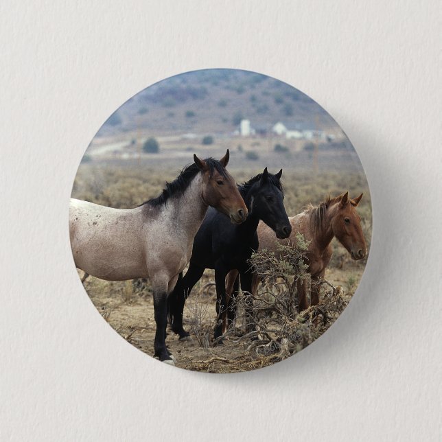 Macaron Rond 5 Cm Chevaux sauvages 5 de mustang (Devant)