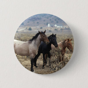 Macaron Rond 5 Cm Chevaux sauvages 5 de mustang