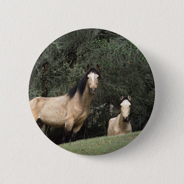 Macaron Rond 5 Cm Chevaux sauvages 6 de mustang (Devant)