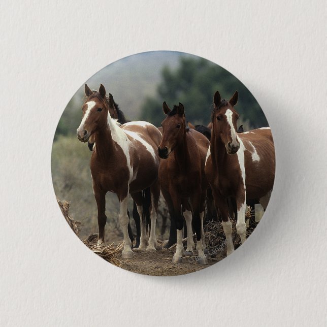 Macaron Rond 5 Cm Chevaux sauvages 7 de mustang (Devant)
