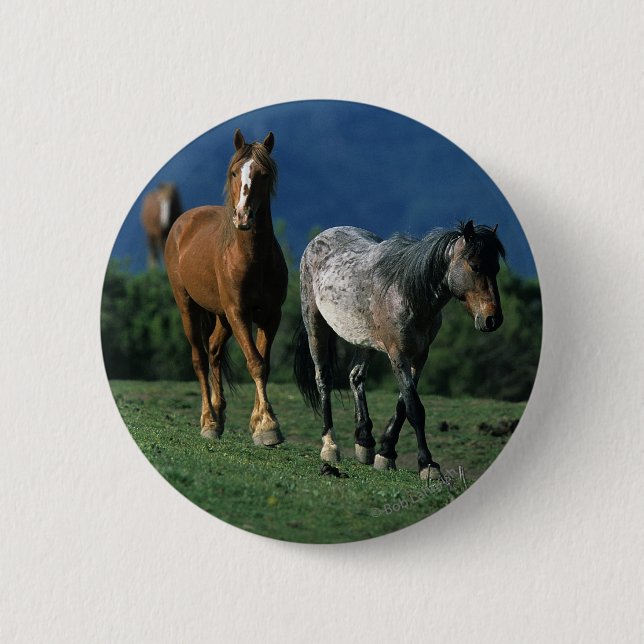 Macaron Rond 5 Cm Chevaux sauvages de mustang (Devant)