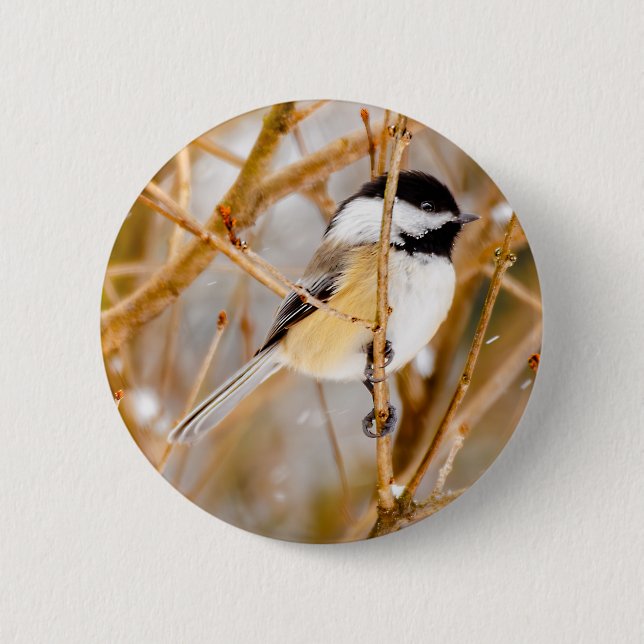 Macaron Rond 5 Cm Chickadee au plafond noir - Photo originale (Devant)
