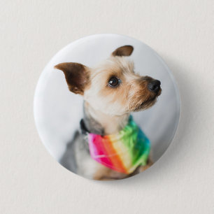 Macaron Rond 5 Cm Chien arc-en-ciel gay pride Yorkshire Terrier