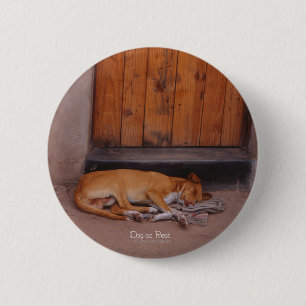 Macaron Rond 5 Cm Chien au repos