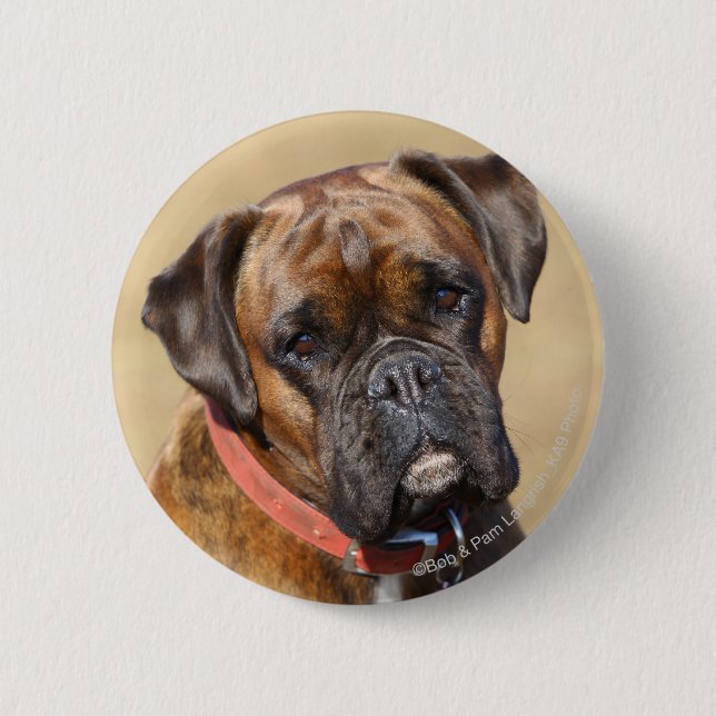 Macaron Rond 5 Cm Chien Brindle de boxeur (Devant)