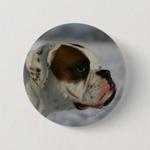 Macaron Rond 5 Cm Chien de boxeur dans la neige