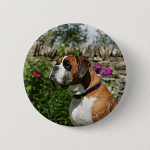 Macaron Rond 5 Cm Chien de boxeur en fleurs
