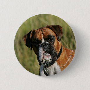 Macaron Rond 5 Cm Chien de boxeur regardant fixement