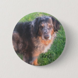 Macaron Rond 5 Cm Chien de Kodi