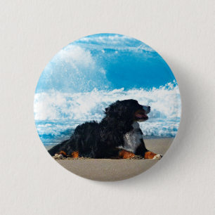 Macaron Rond 5 Cm Chien de montagne bernois sur la plage