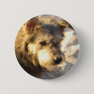 Macaron Rond 5 Cm Chien de plage thaïlandais