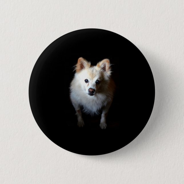 Macaron Rond 5 Cm Chien de Poméranie en noir (Devant)
