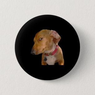 Macaron Rond 5 Cm Chien Drôle Regard Latéral Emphatique