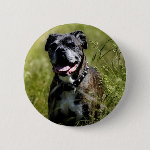 Macaron Rond 5 Cm Chien mignon dans l'herbe