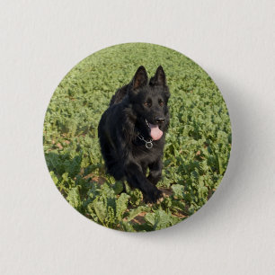 Macaron Rond 5 Cm Chien noir