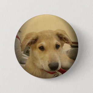 Macaron Rond 5 Cm Chiens mignons et Chiens de marionnettes Mans deux