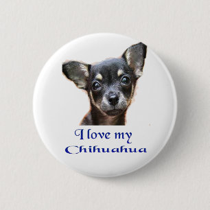 Macaron Rond 5 Cm Chihuahua