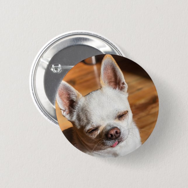 Macaron Rond 5 Cm Chihuahua somnolent squint langue détendue dehors  (Devant & derrière)