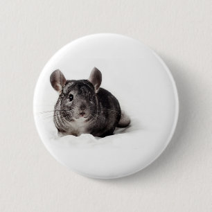 Macaron Rond 5 Cm Chinchilla gris mignon dans la couverture