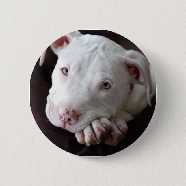 Macaron Rond 5 Cm Chiot (Devant)