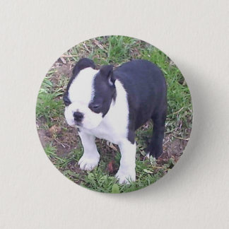 Macaron Rond 5 Cm Chiot de Boston Terrier