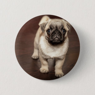 Macaron Rond 5 Cm Chiot de carlin
