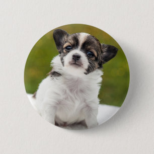 Macaron Rond 5 Cm Chiot de chiwawa