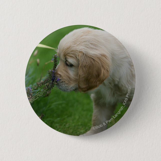 Macaron Rond 5 Cm Chiot de golden retriever (Devant)