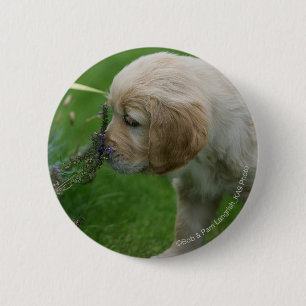 Macaron Rond 5 Cm Chiot de golden retriever