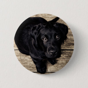 Macaron Rond 5 Cm Chiot de récupération du Labrador noir sur bois