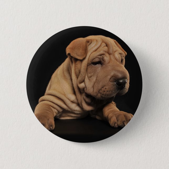Macaron Rond 5 Cm Chiot de Shar Pei (Devant)