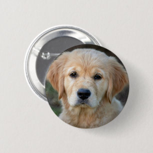 Macaron Rond 5 Cm Chiot Golden Retriever