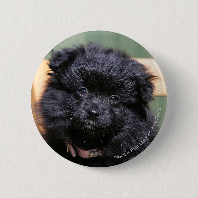 Macaron Rond 5 Cm Chiot noir de Pomeranian (Devant)