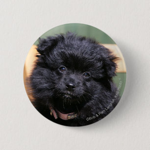 Macaron Rond 5 Cm Chiot noir de Pomeranian