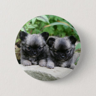 Macaron Rond 5 Cm Chiots aux cheveux longs de chiwawa
