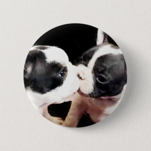Macaron Rond 5 Cm Chiots de bouledogue français