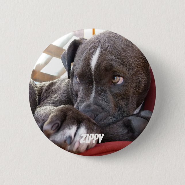 Macaron Rond 5 Cm Chiots Editable de Pitbull de bébé (Devant)