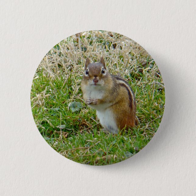 Macaron Rond 5 Cm Chipmunk oriental (Devant)
