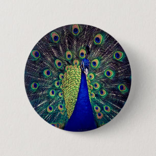 Macaron Rond 5 Cm Cobalt Blue Peacock