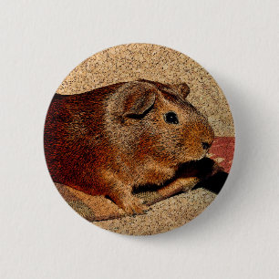 Macaron Rond 5 Cm Cobaye de regard de Corkboard