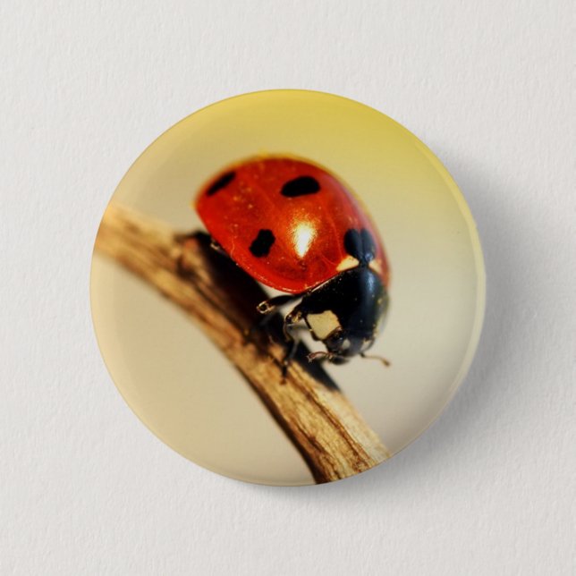 Macaron Rond 5 Cm Coccinelle (Devant)