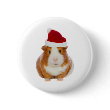 Cochon de Guinée à Père Noël casquette