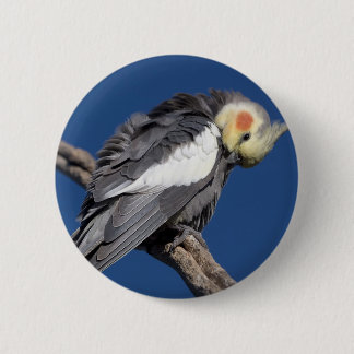 Macaron Rond 5 Cm Cockatiel