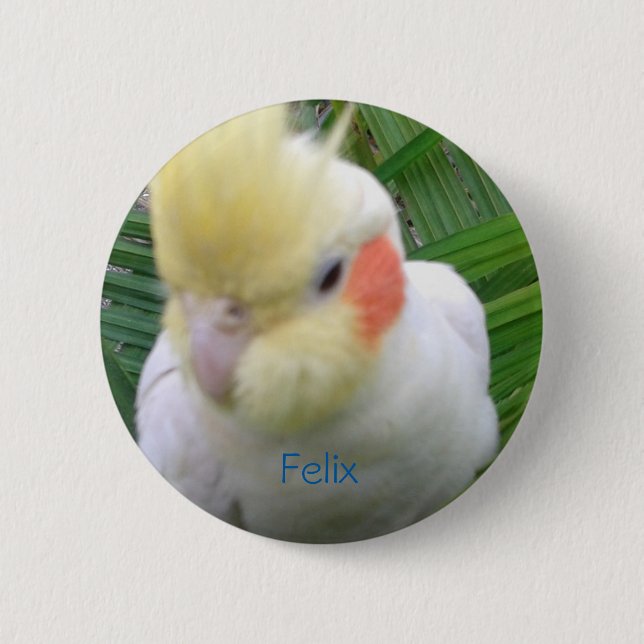 Macaron Rond 5 Cm Cockatiel (Devant)