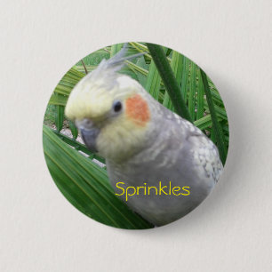 Macaron Rond 5 Cm Cockatiel